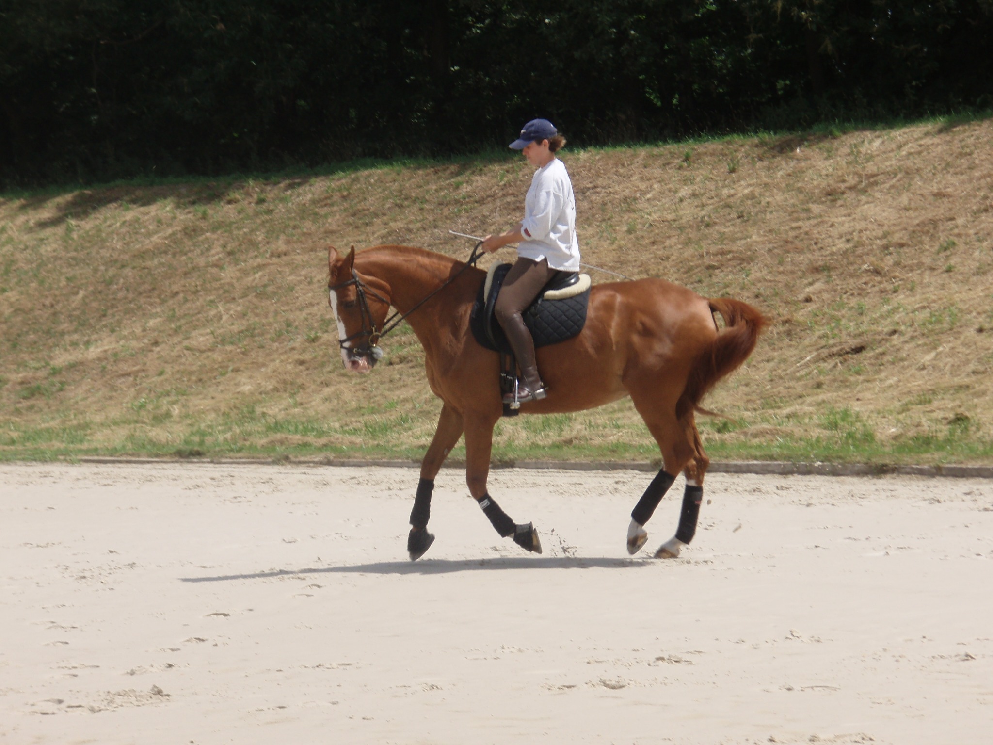 Amandine à cheval en carrière, sur un cheval alezan