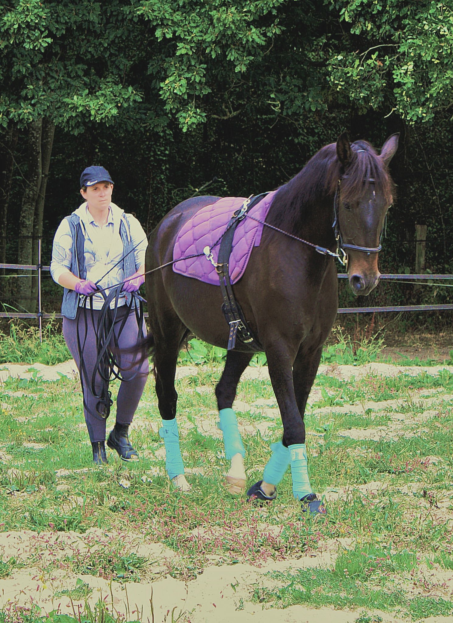 Amandine travaillant un cheval aux longues rênes